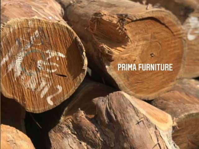 Indonesian teak wood raw log selection and timber milling process in Jepara workshop
